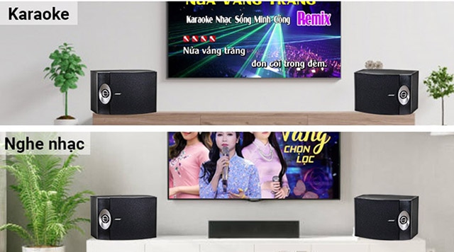 Ưu điểm của Loa karaoke Bose 301 seri V chính hãng