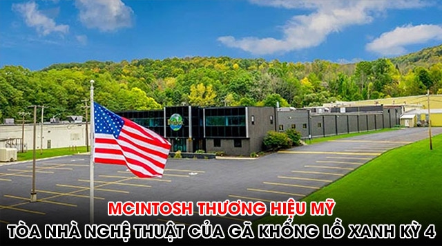 McIntosh thương hiệu Mỹ: Tòa nhà nghệ thuật của gã khổng lồ xanh Kỳ 4