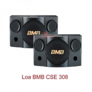 LOA BMB CSE 308