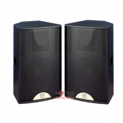 Loa hội trường Martin F12