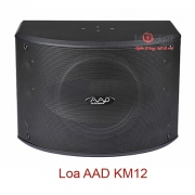 Loa karaoke AAD KM 12