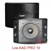 Loa karaoke AAD PRO10