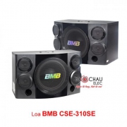 Loa Karaoke BMB CSE 310