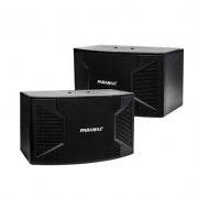 Loa karaoke Paramax P 1500