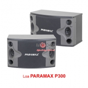 Loa karaoke paramax P-300 