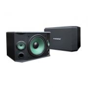 Loa PARAMAX P-509