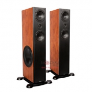 Loa Paramax Platinum D88