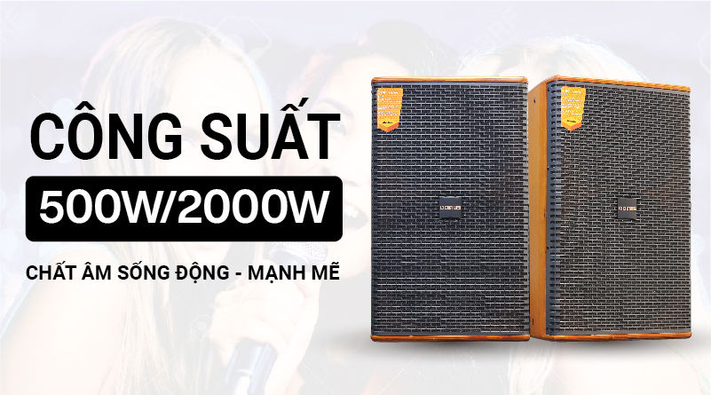 Loa karaoke Domus DK612 