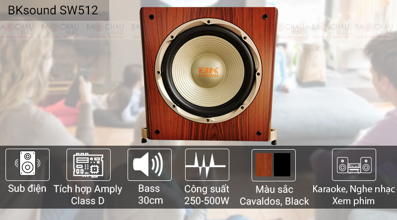 Loa sub BKSound SW512-C